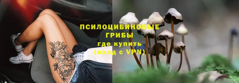 Галлюциногенные грибы Psilocybe  сайты даркнета состав  Минусинск  наркошоп 